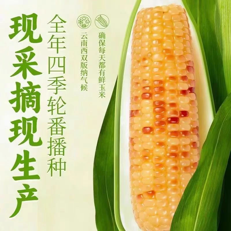 非  玉米开袋即食免煮香糯真空包