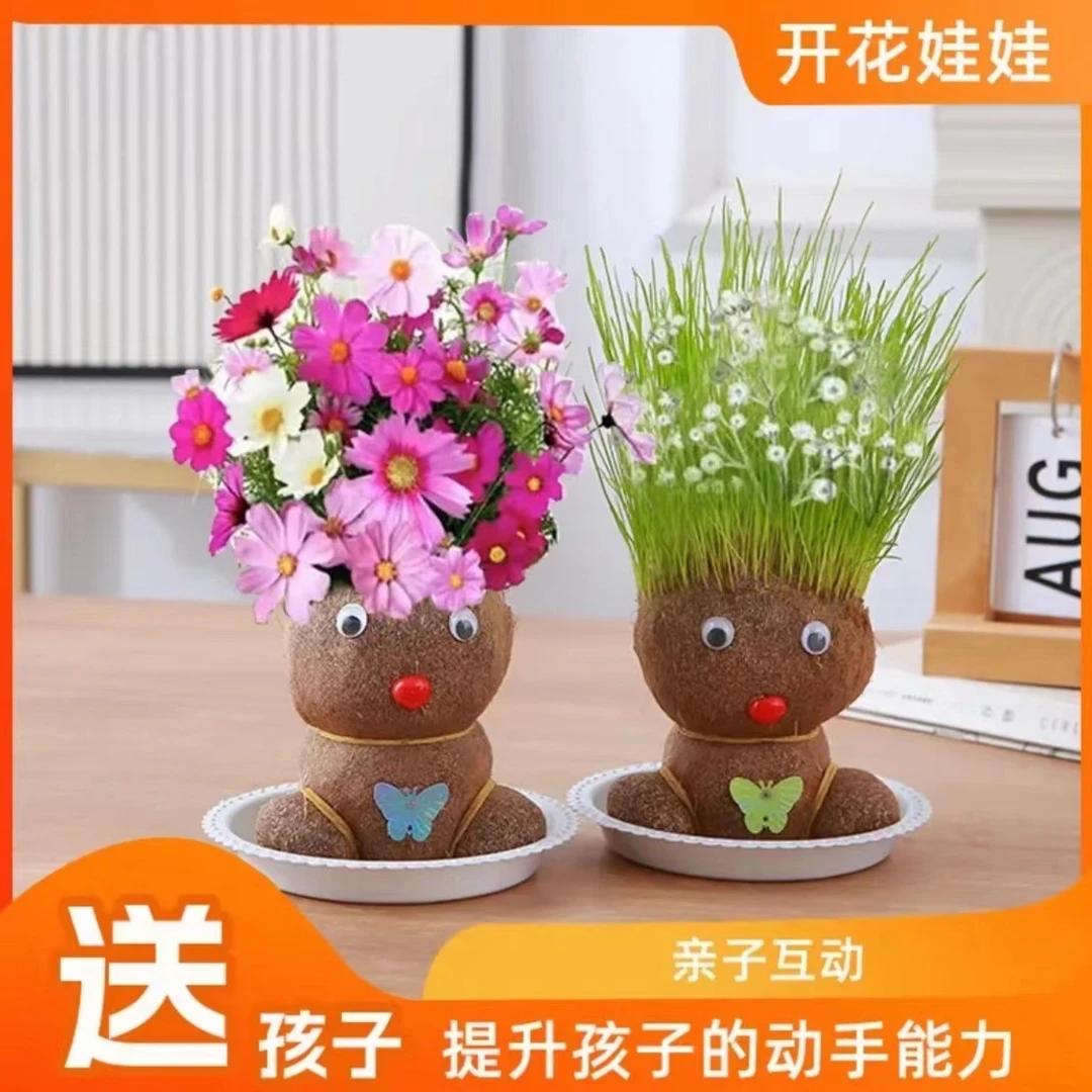 【长草花娃娃】创意盆栽桌面可爱植物趣味娃娃办公室儿童水培绿植