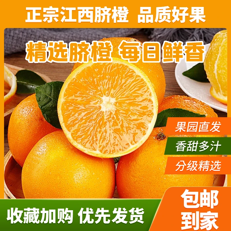 江西脐橙中大果带箱10斤自然阳光充足-新鲜天然多汁-采摘种植