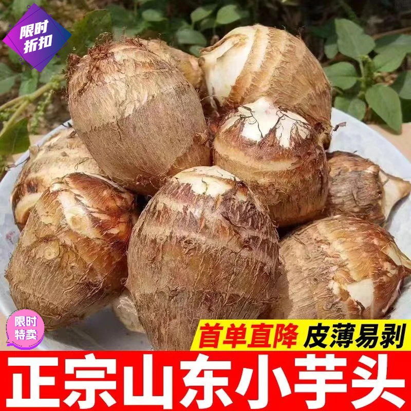 新鲜牛奶芋头山东莱阳小毛芋头芋仔农家香芋头软糯拉丝非非小香薯