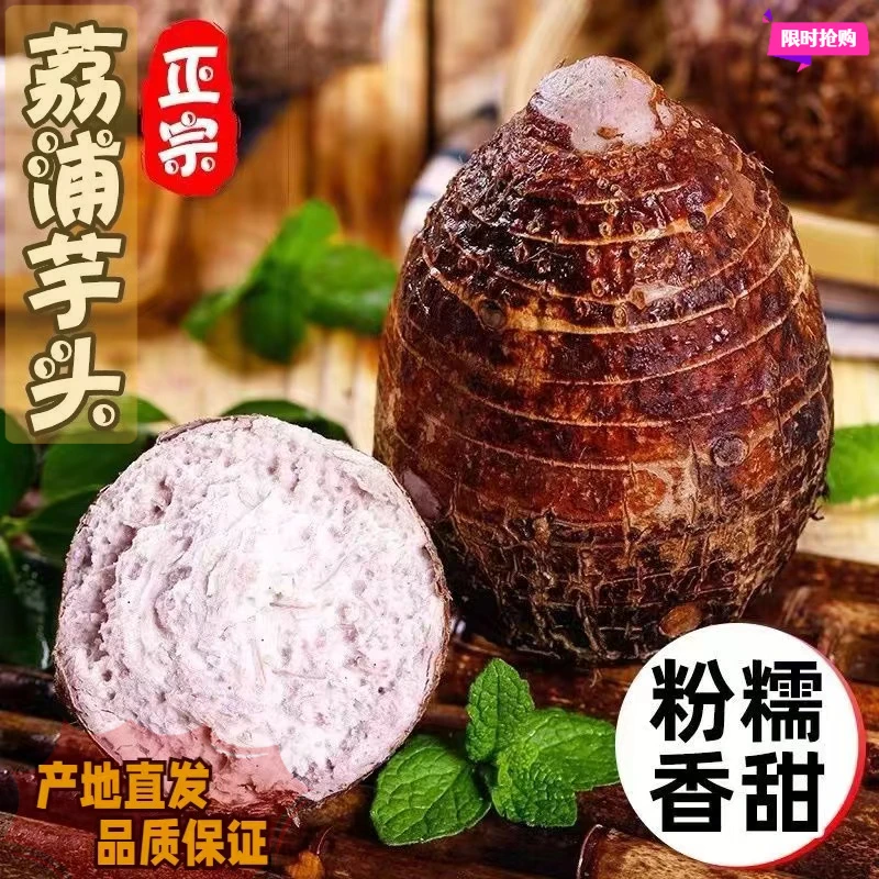 正宗广西芋头荔浦新鲜当季芋香糯农家大个香芋槟榔芋紫藤非小香薯