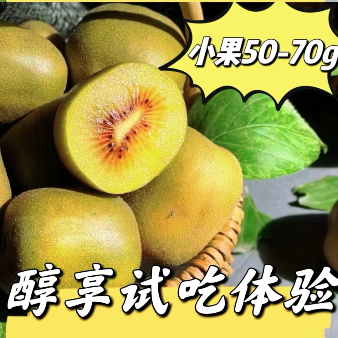 小果50-70g/30颗贵州红心猕猴桃现摘现发纯甜满维c贵州猕猴桃香甜