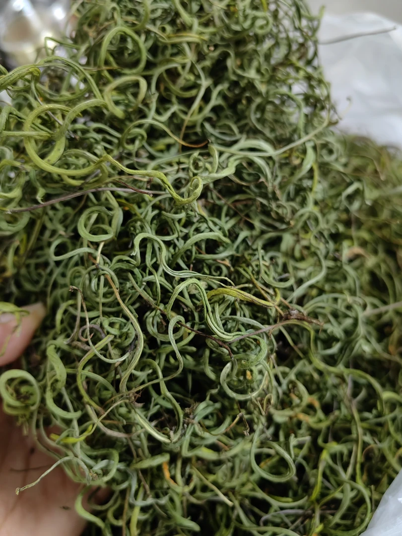 长白山野生黄金草（嗷嗷好）净重50克送枸杞