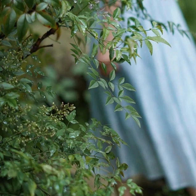 Mooynn/茉零粉丝福利（服饰）