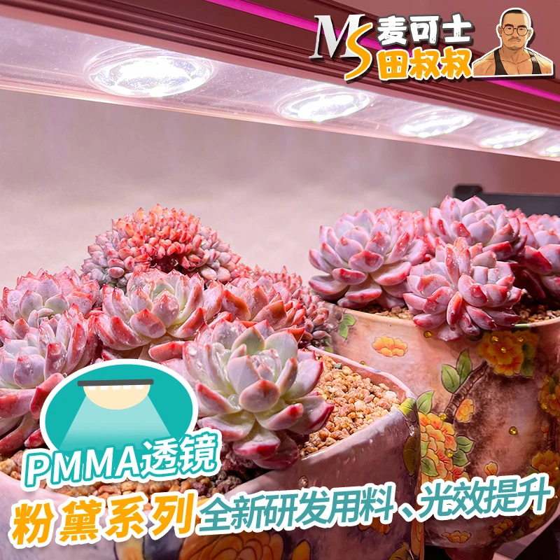 田叔叔联名款 麦可士多肉补光灯全光谱上色LED家用防徒植物生长灯