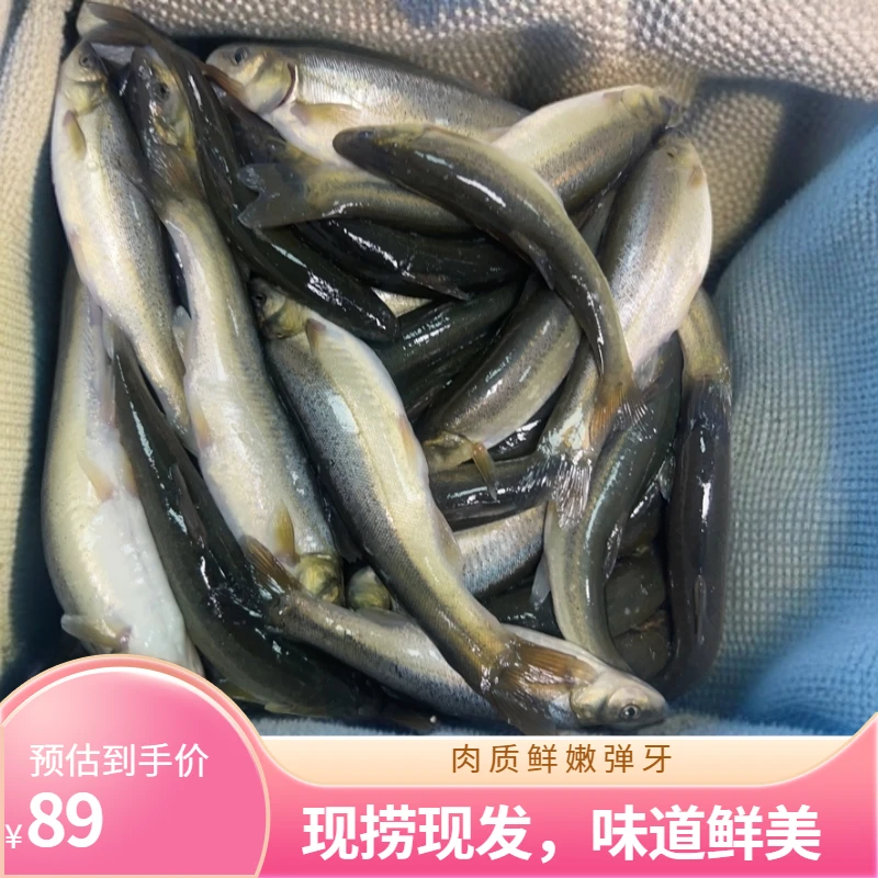 松花江野生柳根5斤有问题联系客服