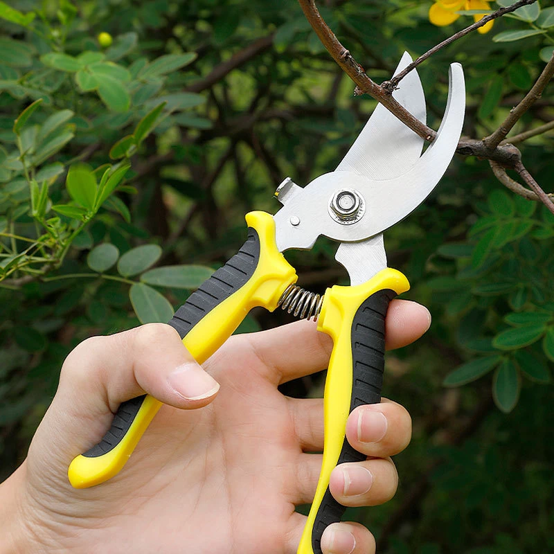 削发鲜花剪剪头发果农园艺剪刀修剪花艺粗果树家用剪树枝强力修花