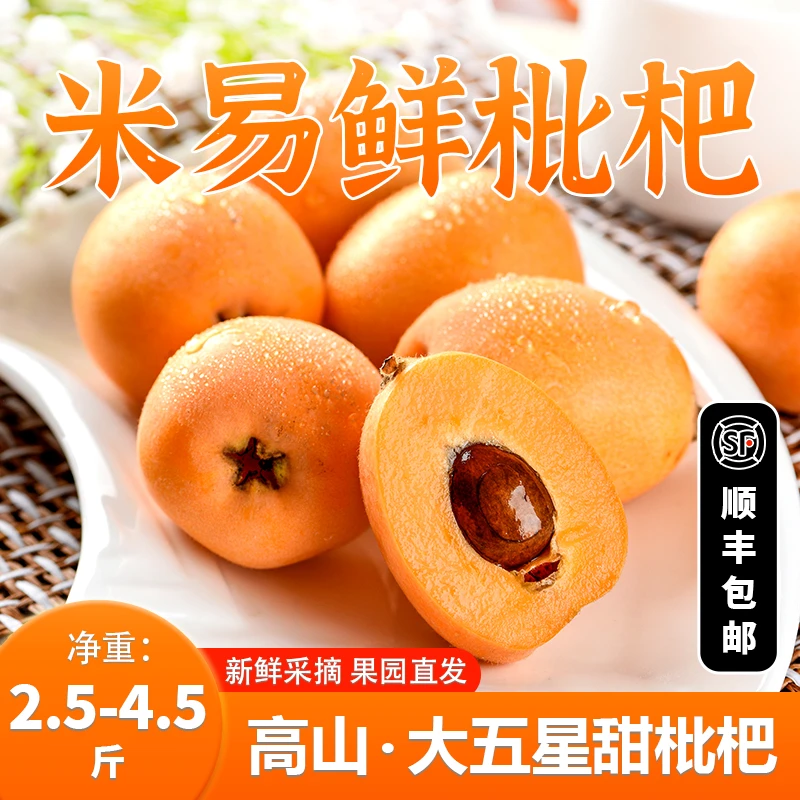 攀枝花米易枇杷新鲜大五星鲜果早钟鲜甜多汁琵琶水果当季顺丰包邮