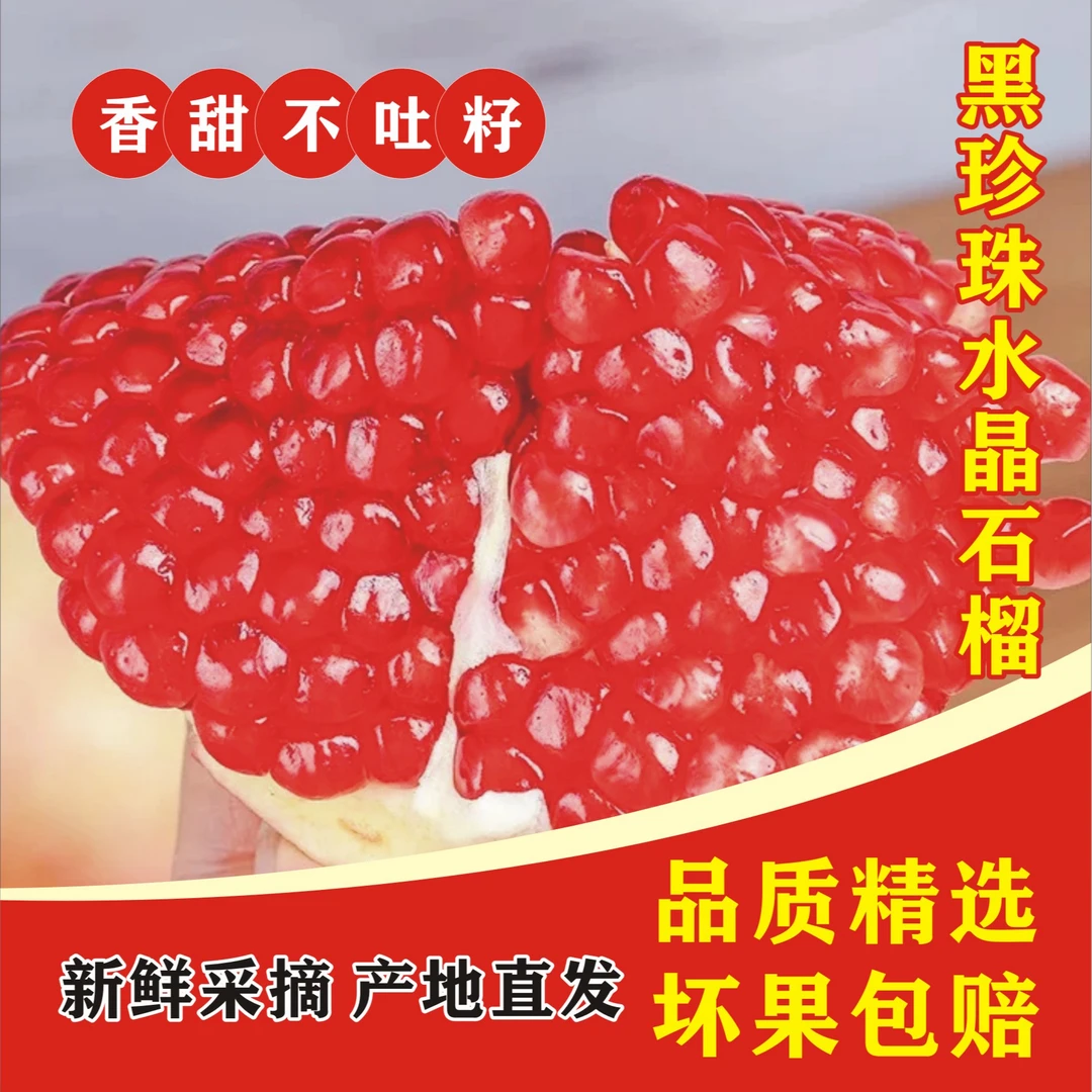 【黑珍珠水晶软籽石榴】四川黑珍珠水晶软籽石榴爆甜多汁不吐籽