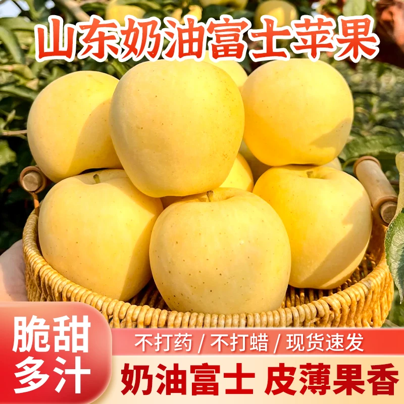 【带箱约5斤】山东烟台黄金奶油富士苹果新鲜水果