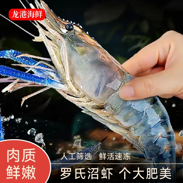 【龙港推荐】— 越南进口罗氏虾加热即食优选活虾冷链锁鲜
