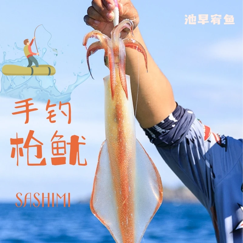 【手钓枪鱿鱼刺身】新鲜大鱿鱿鱼手钓枪鱿鱼本港渔获鲜品质火箭鱿鱼