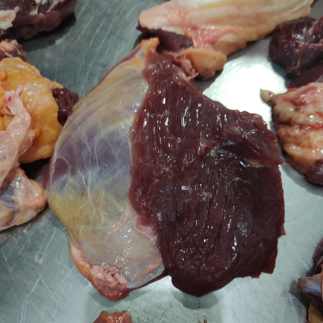 内蒙古黄膘牛肉锡林郭勒草原慢生长原生原切牛肉产地发货