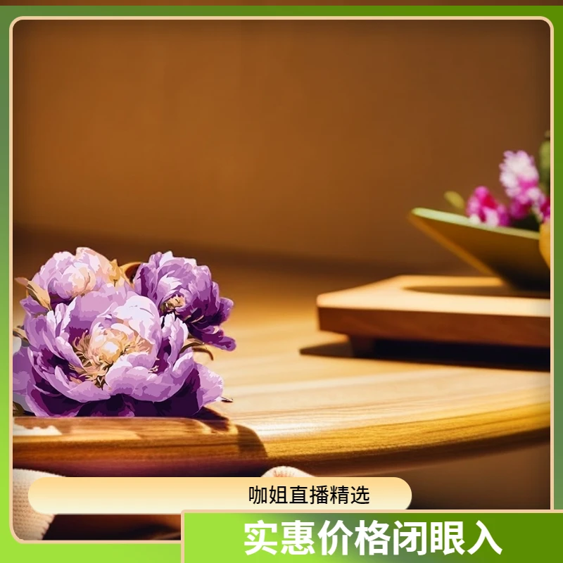 咖姐直播（画布盲盒中尺寸401-600）diy数字油画创意简约