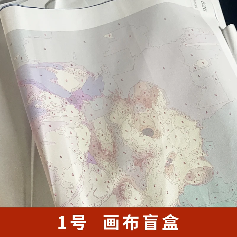 直播（酒后糊力画布中尺寸2001-2200）diy数字油画