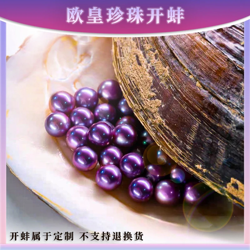 【妖王单株】 二个珍珠开蚌 爱迪生单珠蚌