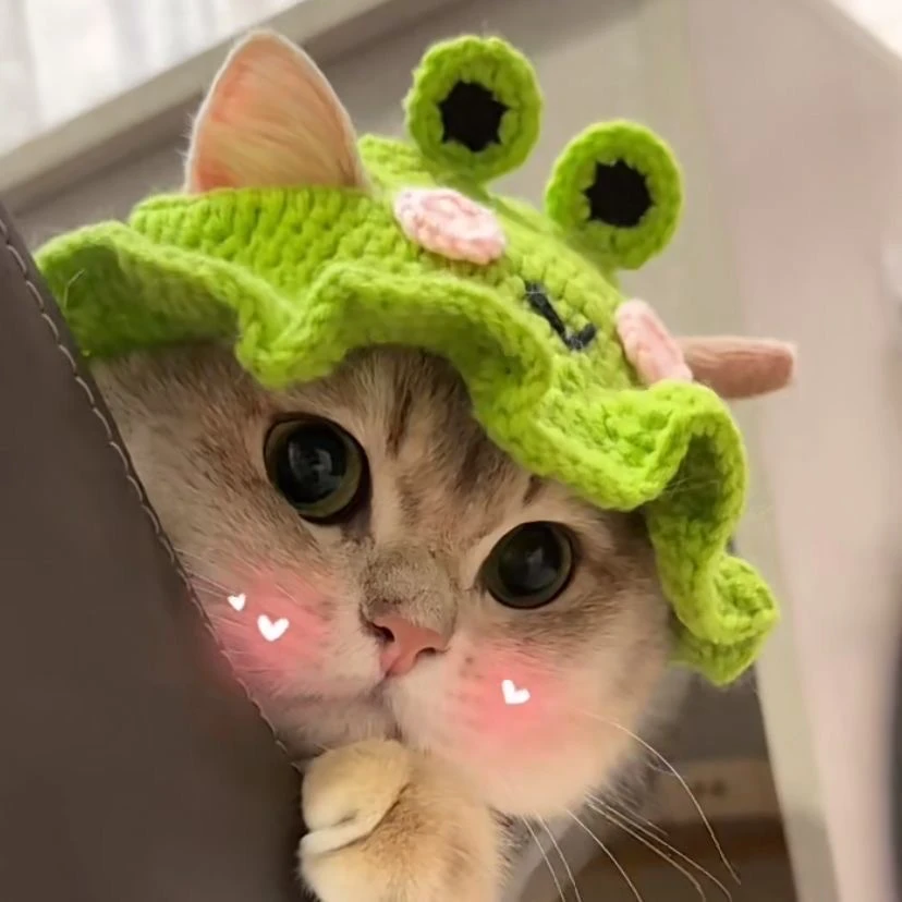 原创纯手工女仆猫喇叭花太阳帽宠物猫咪帽子变装帽英短可爱头套