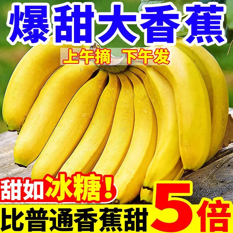 正宗广西高山香蕉新鲜采摘自然成熟当季水果软糯香甜芭蕉批发绿色