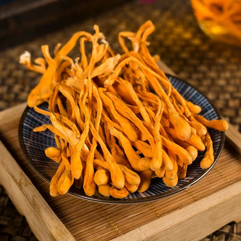 临时链接-虫草花