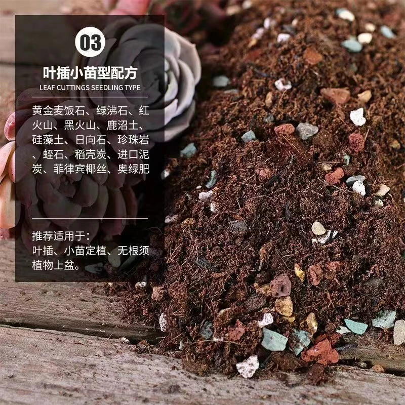 多肉 专用50颗粒土 适合各种苗情 控色生长 防腐防菌