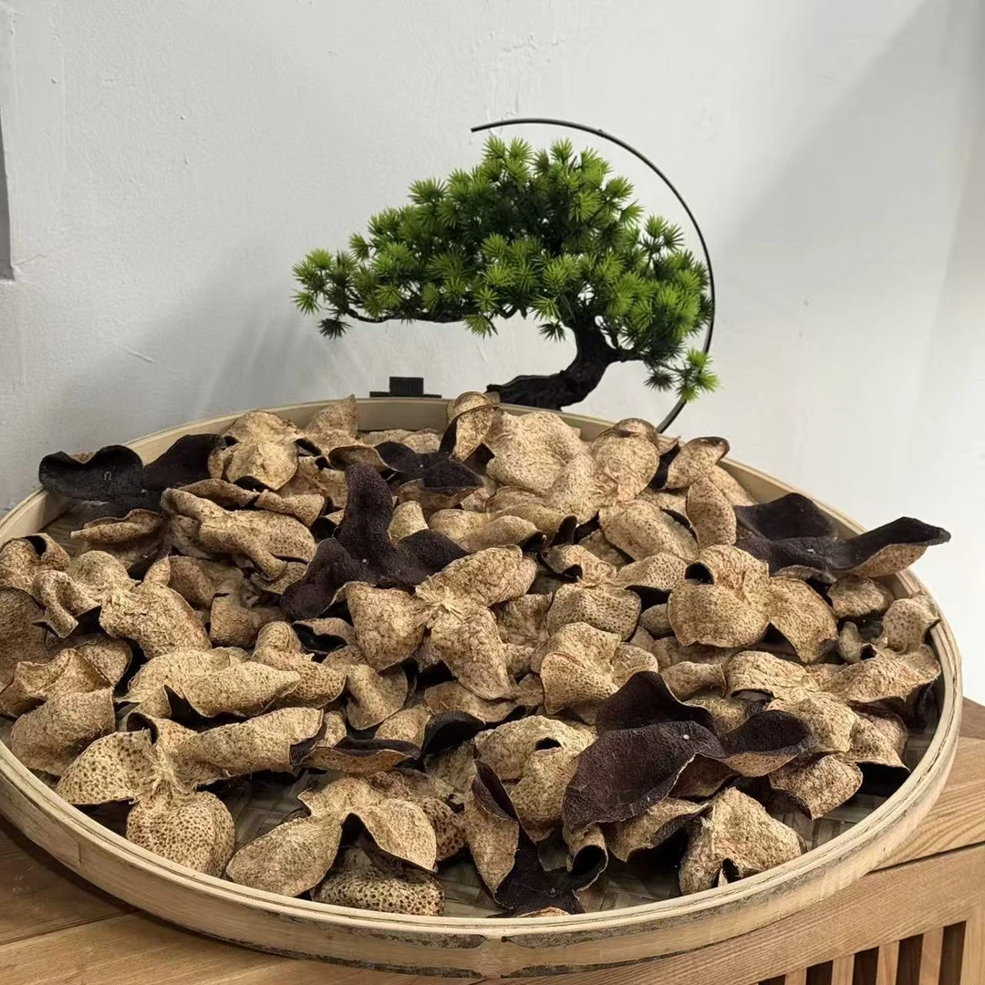 【二刀收藏款】2017梅江 塞口围 原枝 糥香甜 回甘 新会发货