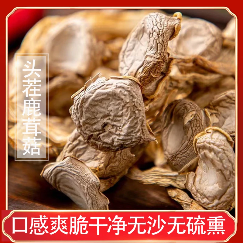 鹿茸菇干货爆炒干锅火锅优选滋养精选鲜美