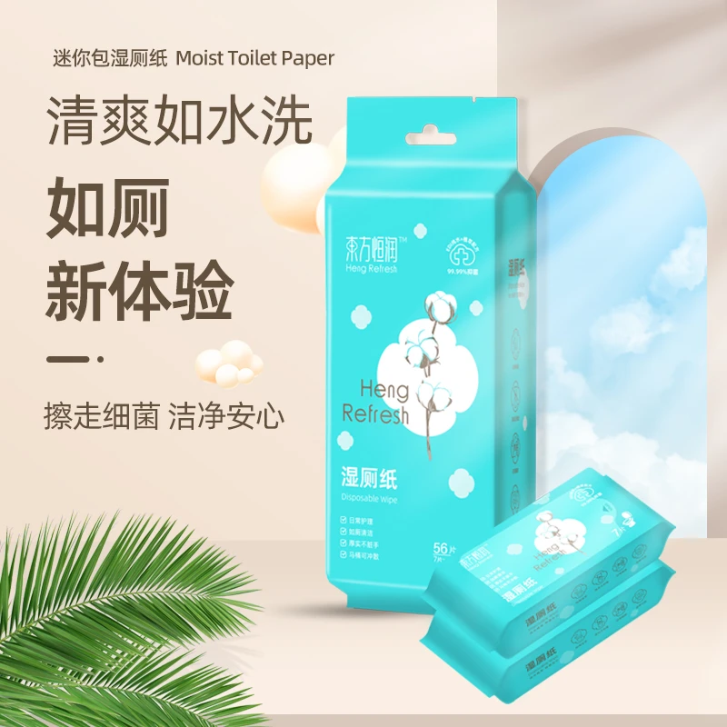 东方恒润迷你可冲湿厕纸亲肤加厚舒适小巧便携男女私处擦屁股洁厕
