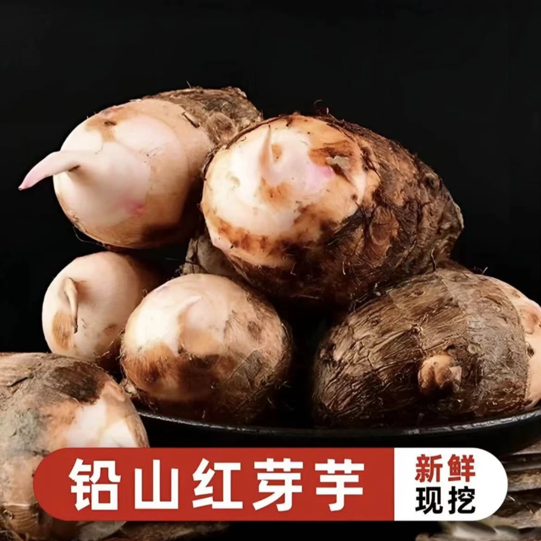 江西正宗铅山红芽芋口感软糯香滑现挖现发 产地直发