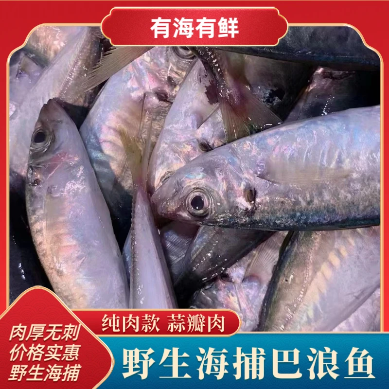 福建海捕巴浪鱼新鲜冷冻大青皮小竹夹鱼蓝圆鰺刺鲅5-10斤顺丰包邮