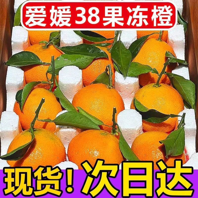 爱媛38号果冻橙新鲜橙子水果四川桔子眉山脐橙当季甜橙整箱5/8斤