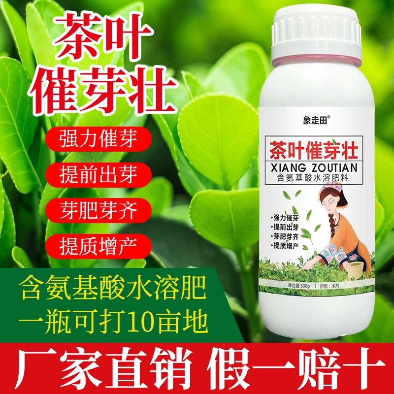 茶叶催芽壮芽素专用叶面肥爆新芽剂强力催芽增产促长厂家正品包邮