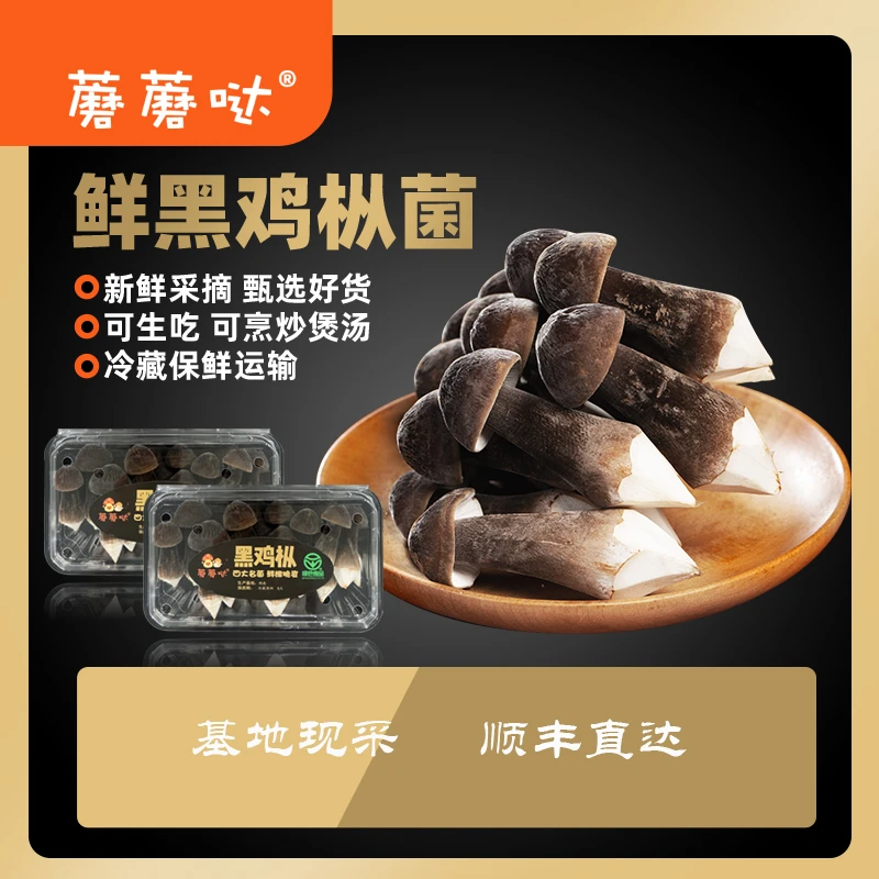 蘑蘑哒蘑蘑哒黑鸡枞  500克   鲜香脆爽 营养丰富