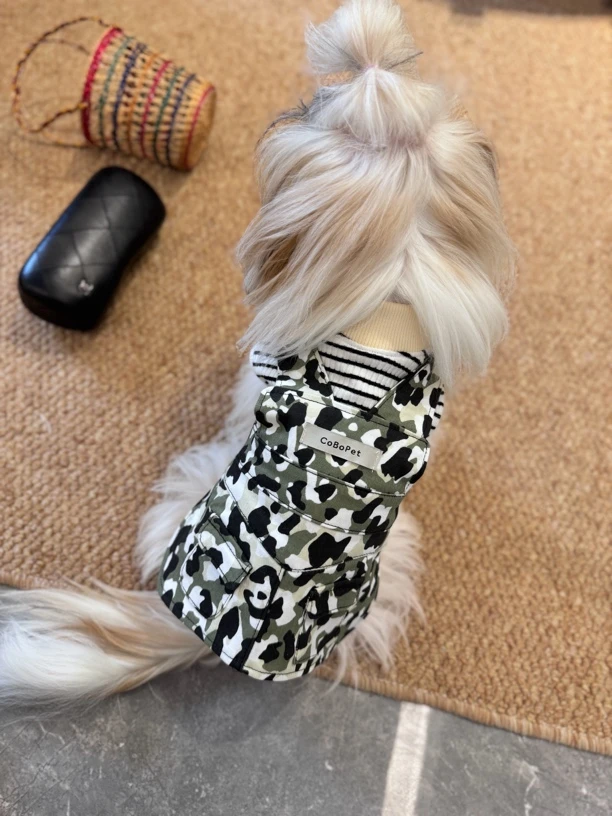 狗狗衣服宠物裙子条纹上衣迷彩背带裙百搭休闲马尔济斯约克夏比熊