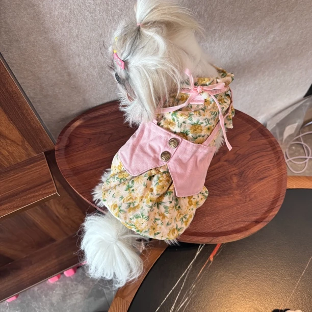 狗狗宠物衣服公主风碎花马甲裙猫咪棉衣比熊泰迪马尔济斯小型犬