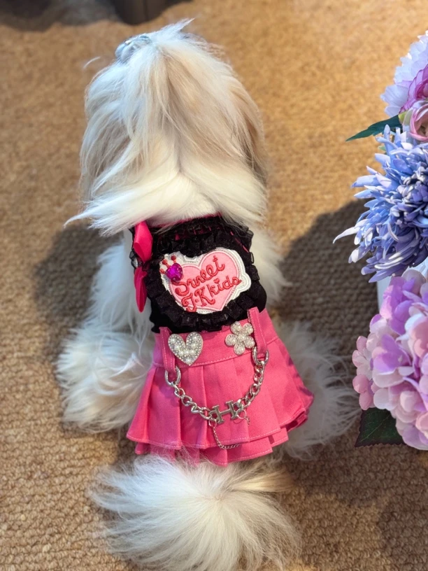 超绝黑粉辣妹吊带裙宠物衣服狗狗裙子狗狗衣服小型犬