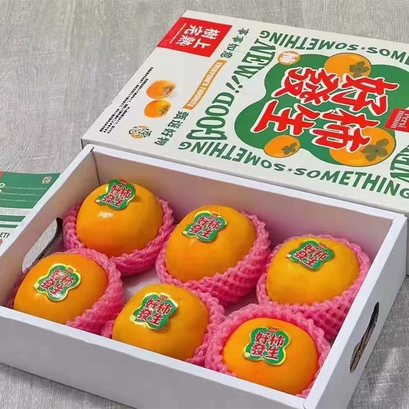 次郎柿台湾富有脆柿礼盒巧克力柿子新鲜水果恭喜糖心甜脆柿不涩口