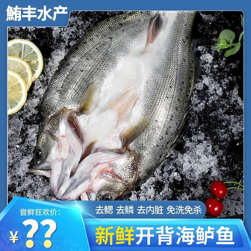 七星海鲈鱼500g*3条去鳞去鳃去内脏免洗三去开背新鲜海鲈鱼