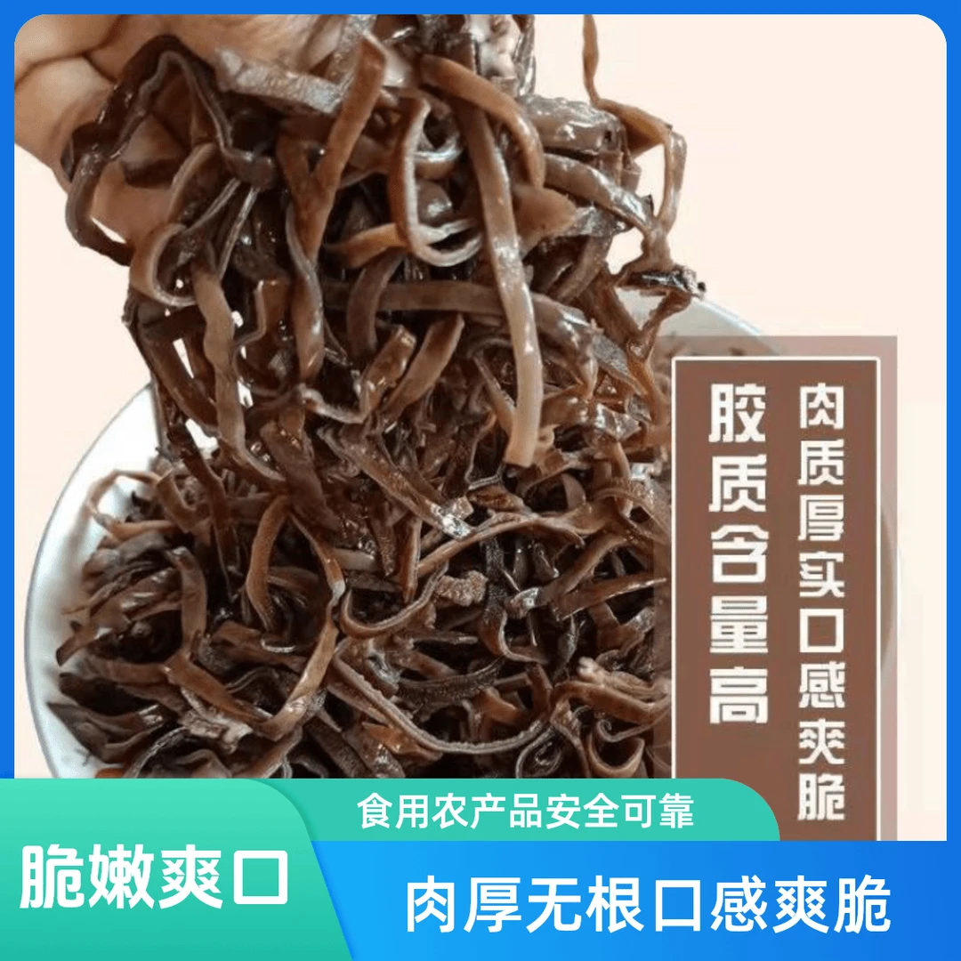 [抢！到手一斤]精选头茬白背木耳丝美味肉厚脆爽免切黑木耳丝