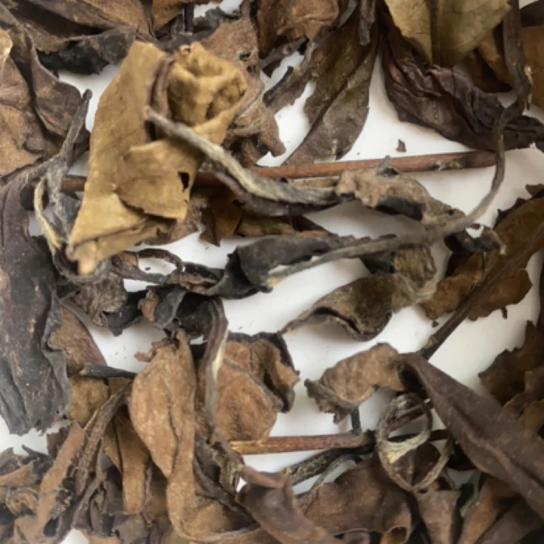 300白茶可焖可煮