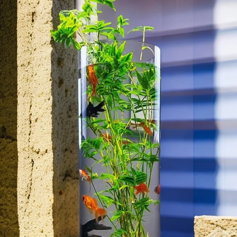 桌面花瓶竹子室内绿植轻奢，玻璃鱼缸15*50规格超长竹子绿植盆栽