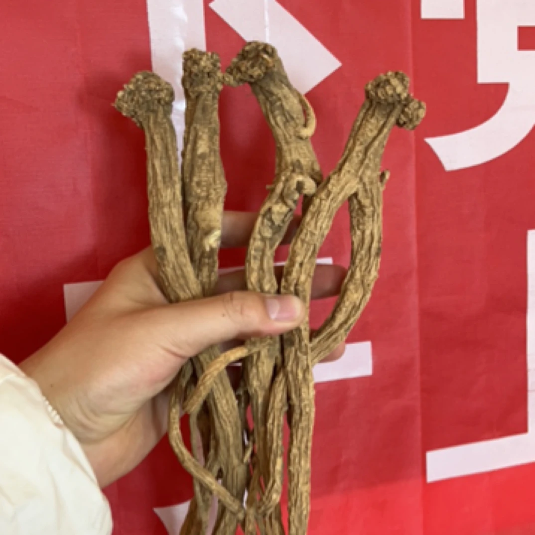 特大野生党参直播间专拍