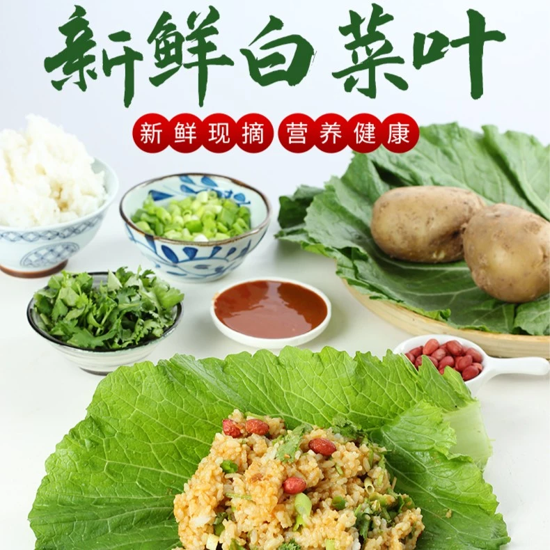 东北白菜叶饭包新鲜叶子叶大白菜片蔬菜农家大饭包菜叶批发绿色青
