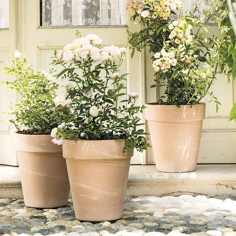 虹越进口 | 帝罗马陶土花盆透气护根经典宽边陶盆家庭园艺种植盆