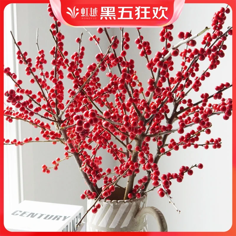 【虹越直播】虹越北美冬青氛围感冬季浆果花卉，家居圣诞年宵插花