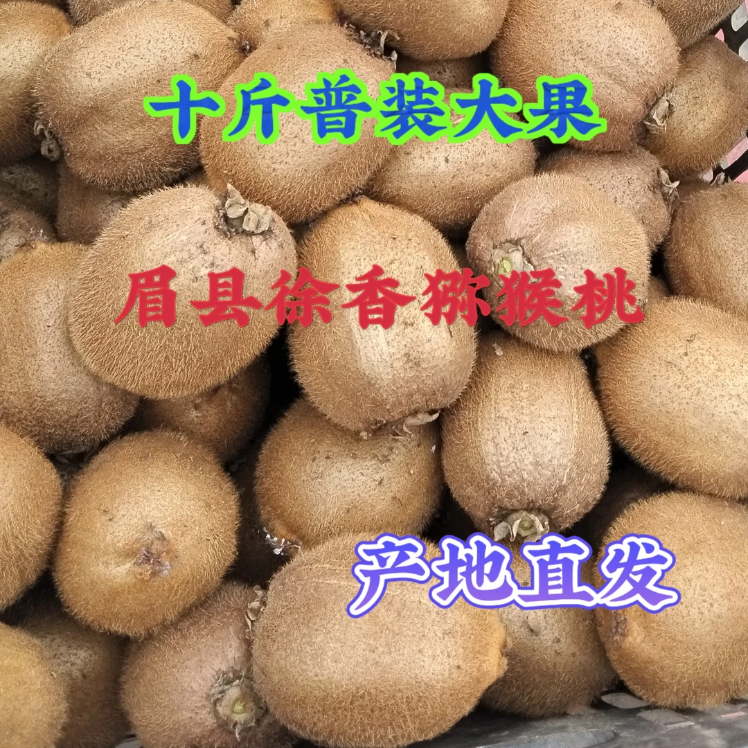 十斤普装大果猕猴桃陕西特产眉县徐香猕猴桃食用水果批发产地直发