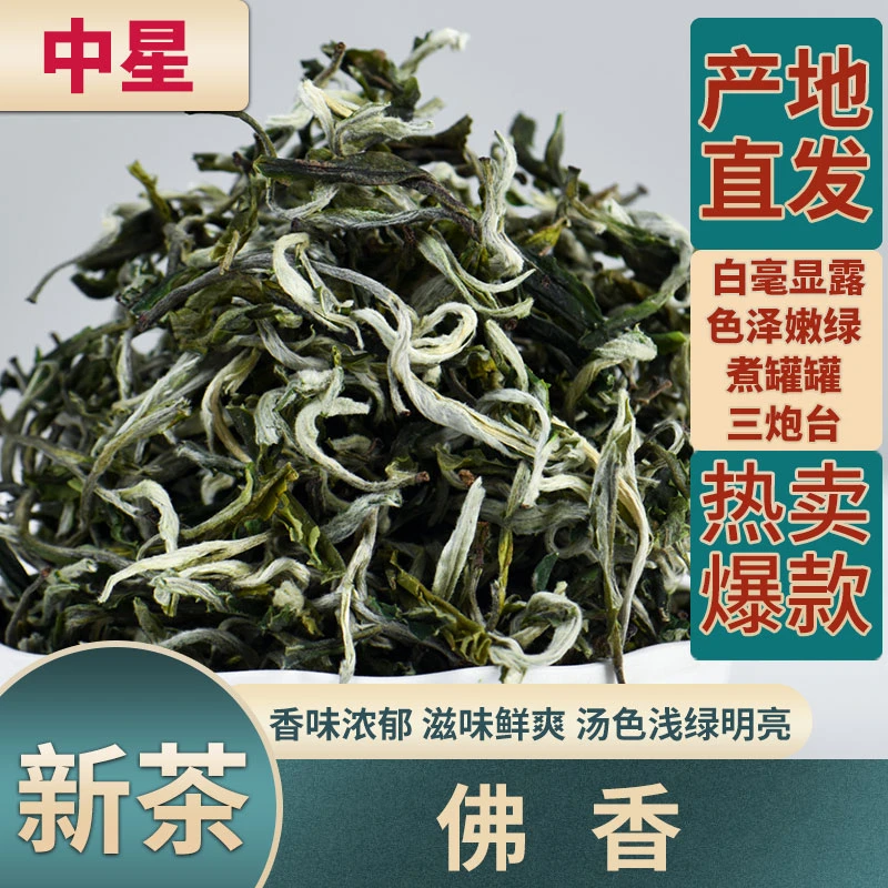 2025新茶佛香绿茶春尖茶甘肃罐罐茶云南绿茶茶叶500g1000g袋装