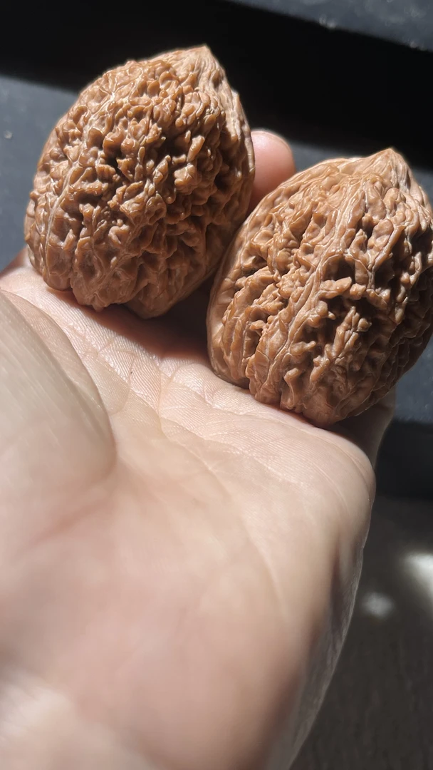 37.2全品精配红皮大蒜头骨质硬