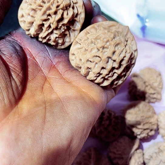 文玩核桃把件西**丁40秦闷