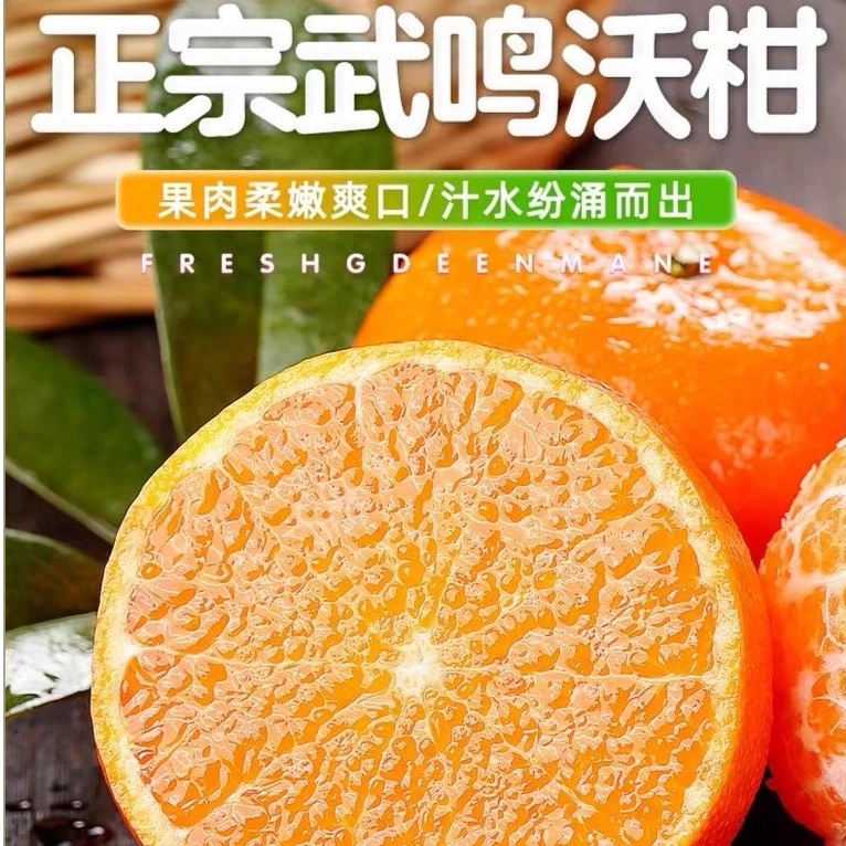 【白菜价】广西武鸣沃柑1-9斤超甜皮薄新鲜水果耙耙柑基地产地直发