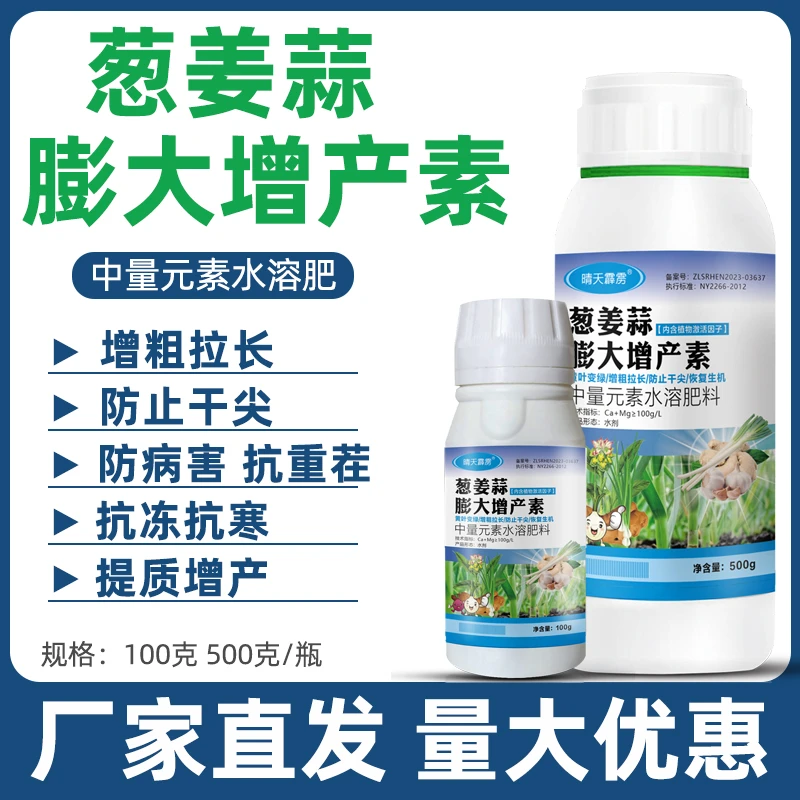 大葱小葱葱姜蒜病害干尖黄叶韭菜大葱香葱干尖褐斑病软腐病正品